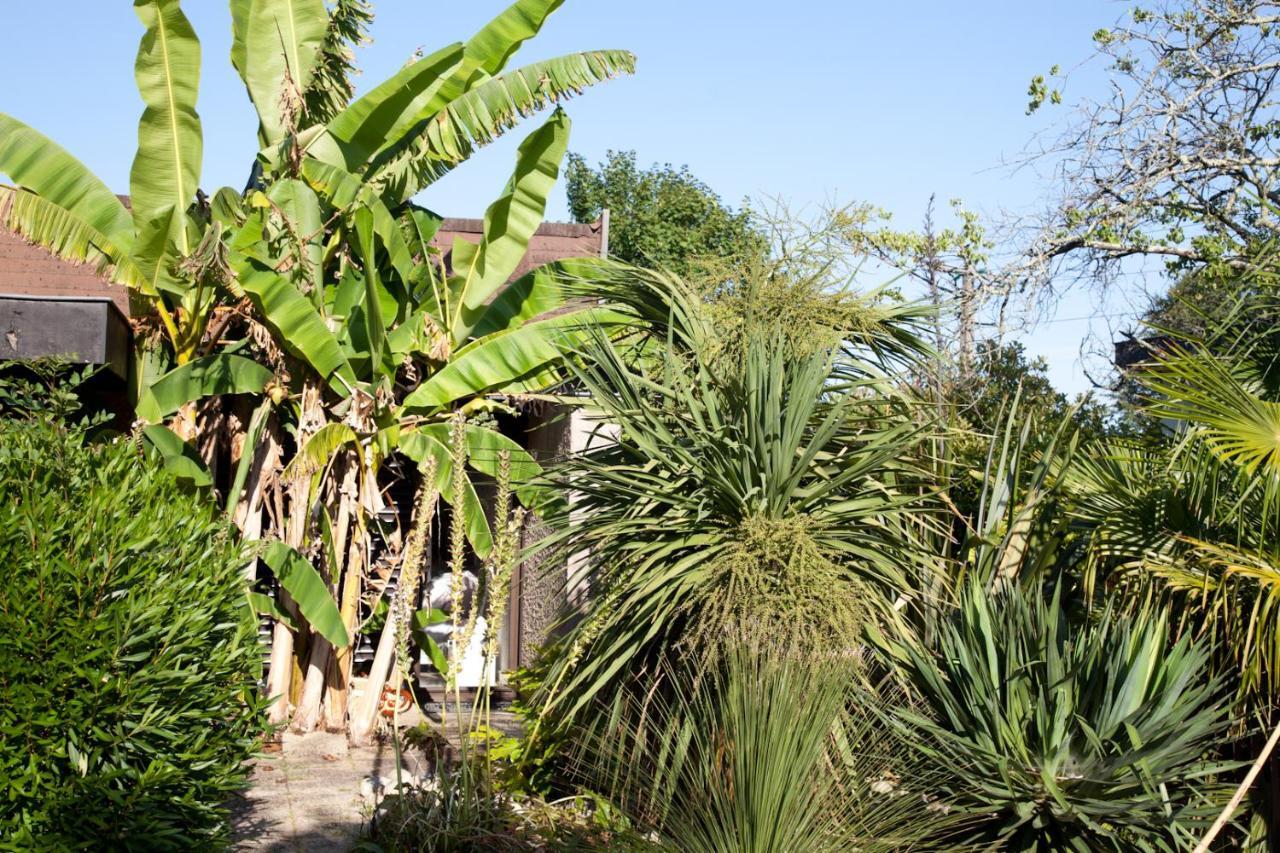 Villa Margaux Fargues-Saint-Hilaire Exterior photo